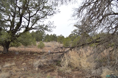 Lot 216 and 217 Old Well Rd, Candy Kitchen, NM 87321 - photo 4