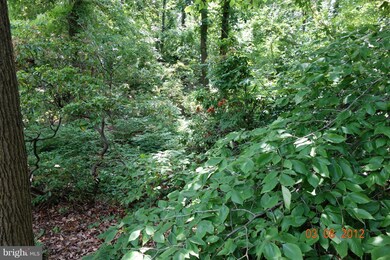 0 Hines Rd unit 1003579452, Parkville, MD 21234 - photo 3