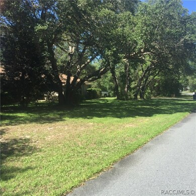 1437 E Wedgewood Ln, Hernando, FL 34442 - photo 4