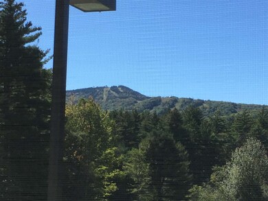 663 Cherry Valley Rd unit 2-5, Gilford, NH 03249 - photo 4