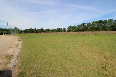 4408 Wilson Rd, Hephzibah, GA 30815 - photo 6