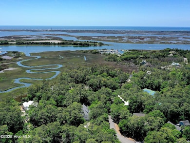 6253 Cattail Ct, Southport, NC 28461 - photo 6