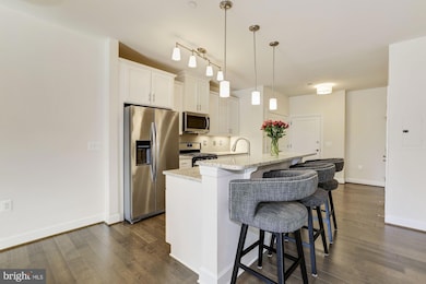 10530 Resort Rd unit 101, Ellicott City, MD 21042 - photo 5