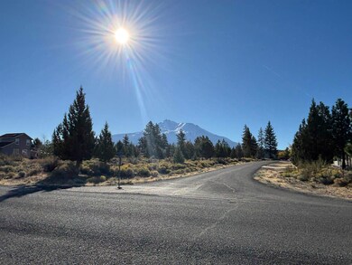 Unit 8-2 Lot 172 Sherwood Rd unit 8-2, Weed, CA 96094 - photo 4