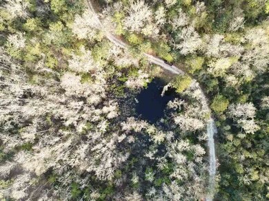 0 Harley Davidson Ln unit 304344, Crawfordville, FL 32327 - photo 5