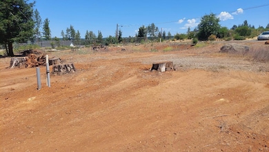 8645 Skyway, Paradise, CA 95969 - photo 3