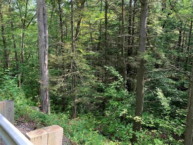 0 Halls Brook Rd unit 29, East Hebron, NH 03241 - photo 3