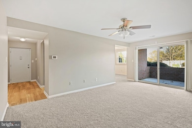 6 Ballindine Ct unit 101, Lutherville Timonium, MD 21093 - photo 7