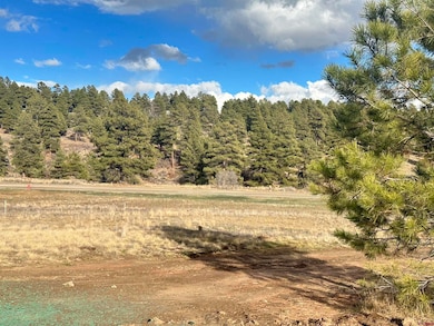 37 Arroyo Ct, Pagosa Springs, CO 81147 - photo 3