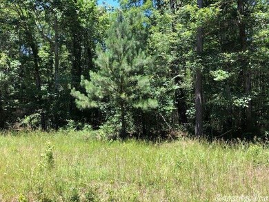 0 Highway 167 S unit 20002810, Sheridan, AR 72150 - photo 4