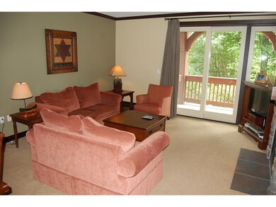 759 Stratt Mount Access Rd unit 232, Stratton, VT 05155 - photo 3