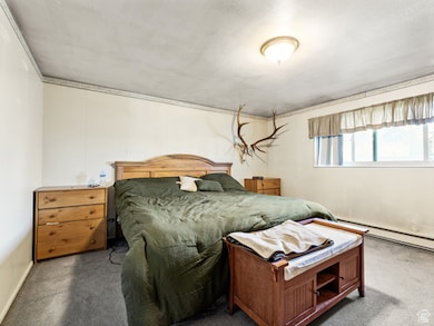 11437 W Highway 6, Goshen, UT 84633 - photo 7