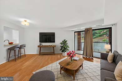 The Astoria unit 339, Arlington, VA 22201 - photo 4