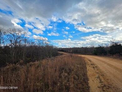 0 B J Woodson Ln unit 2505592, Clifton, TN 38425 - photo 6