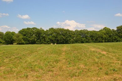 1723 Cummins Ferry Rd, Versailles, KY 40383 - photo 6