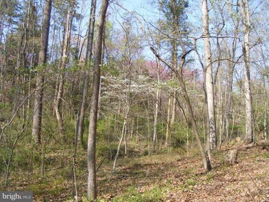 0 Meander Run Rd unit 1000402377, Madison, VA 22727 - photo 6