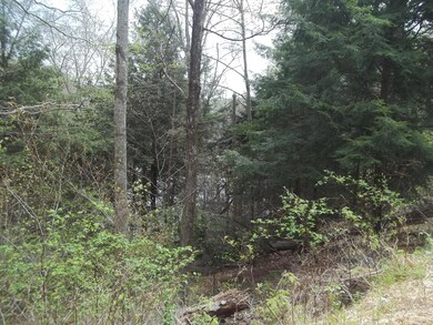 0 Beech Ln unit 18 WB-87584, Penn Township, PA 17758 - photo 3