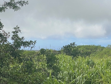 0 Kai Makani Place unit 724484, Naalehu, HI 96772 - photo 5