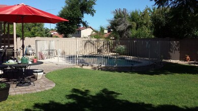 Backyard3
