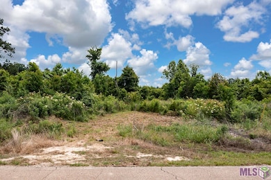 23060 Carson Rd, Pride, LA 70770 - photo 5