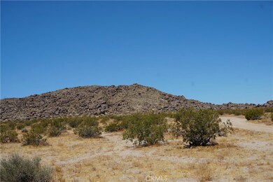 3000 Winfield Rd, Joshua Tree, CA 92252 - photo 5
