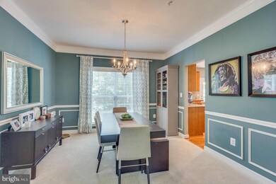 16481 Plumage Eagle St, Woodbridge, VA 22191 - photo 6