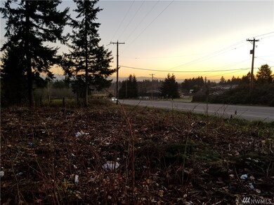 10202 255th St E, Graham, WA 98338 - photo 5