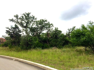 3906 Luz Del Faro, San Antonio, TX 78261 - photo 3