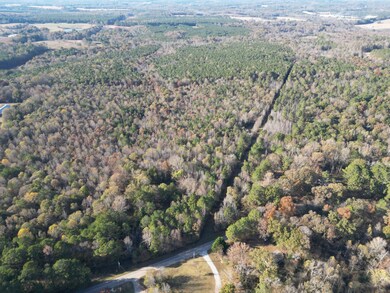 0 Cedar Grove Rd unit 25573750, Buckhead, GA 30625 - photo 3