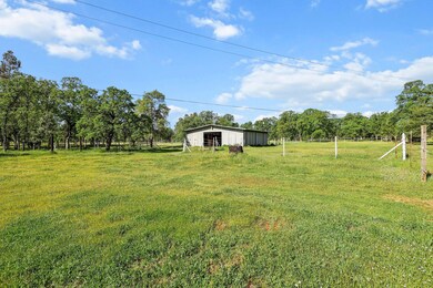 33-web-or-mls-8Q0A3239