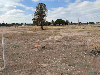 2003 Standpipe Rd, Carlsbad, NM 88220 - photo 3