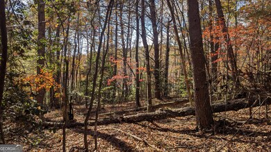 0 Autumn Ridge Drive Lot 10 & Lot 11 Dr unit 10647540, Mineral Bluff, GA 30559 - photo 5