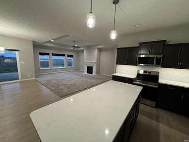 2347 Dentelle St, Shadeland, IN 47909 - photo 6