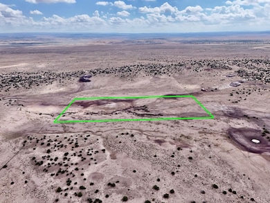 Tbd N6120, Saint Johns, AZ 85936 - photo 3