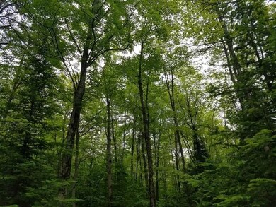 Lot 1 Sanctuary Rd, Tomahawk, WI 54487 - photo 7