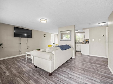 6627 Main St, New Port Richey, FL 34653 - photo 3