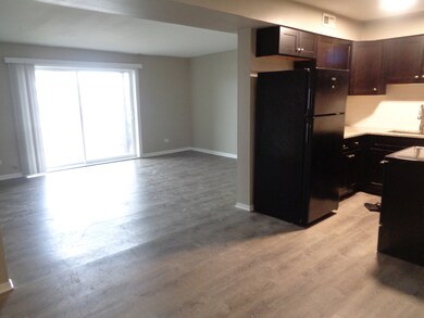 9729 Ridgeland Ave unit 102, Oak Lawn, IL 60453 - photo 7