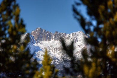 135 Old Moose Fork, Big Sky, MT 59716 - photo 6