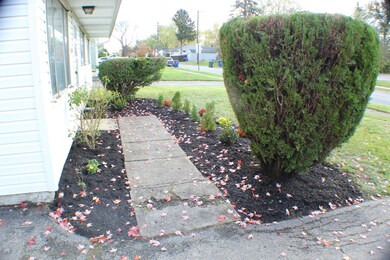 Front walkway (2)