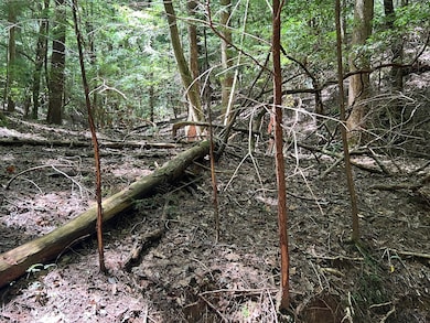 Crockett Rd, Haleyville, AL 35565 - photo 4