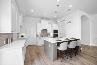 3806 Lake Falls Dr, Fulshear, TX 77441 - photo 6