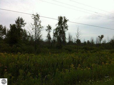 N/A Noggle Rd, Omer, MI 48749 - photo 7