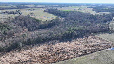 2233 Peanut Rd, Snow Hill, NC 28580 - photo 7