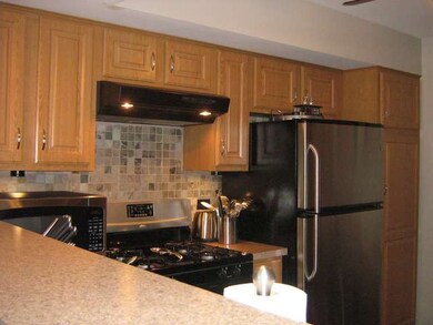 1849 Grove Ave unit 75B184, Schaumburg, IL 60193 - photo 7