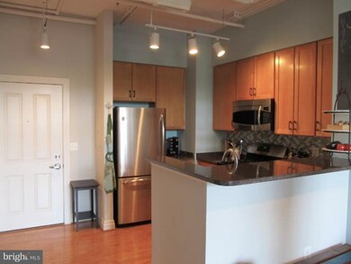 Elan East Market Condominiums unit 212, Fairfax, VA 22033 - photo 3