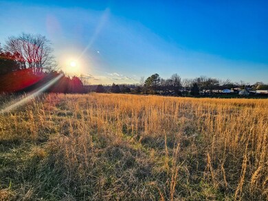 3096 Verona Caney Rd, Lewisburg, TN 37091 - photo 4