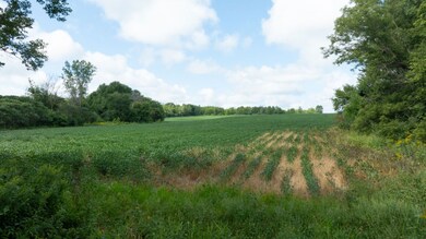 280th Street, Glenwood City, WI 54013 - photo 5