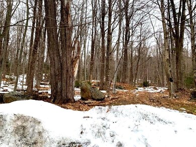 1341 Bailey Hill Rd, Readsboro, VT 05350 - photo 5