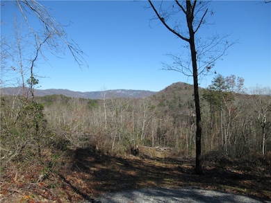 Tracts 34, 35, 36 Curts Way, Cleveland, SC 29635 - photo 4