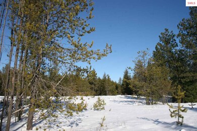 B1 NNK Northern Sky Rd, Athol, ID 83801 - photo 4